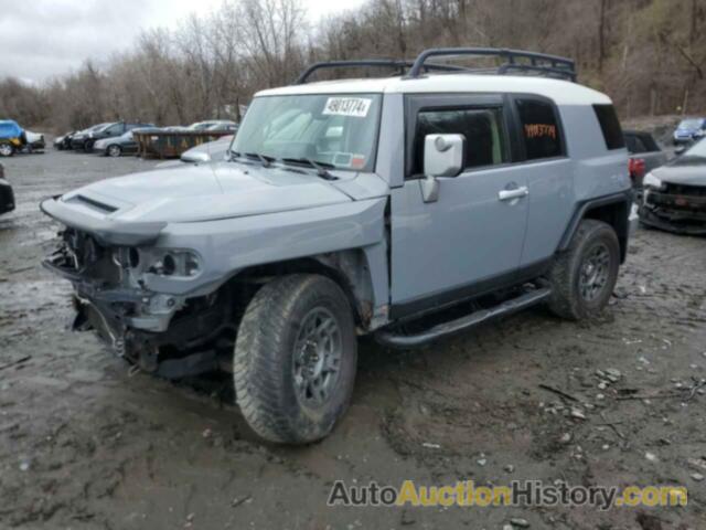 TOYOTA FJ CRUISER, JTEBU4BF7EK190165