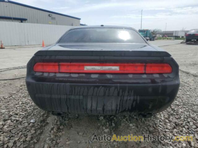 DODGE CHALLENGER R/T, 2C3CDYBT7DH535789