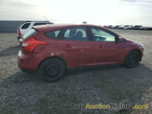 FORD FOCUS SE, 1FADP3K20DL101255