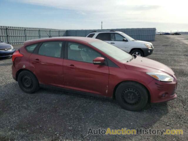 FORD FOCUS SE, 1FADP3K20DL101255