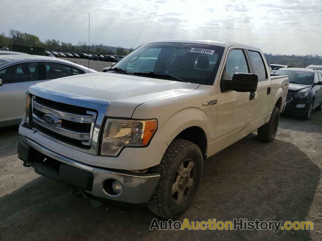 FORD F-150 SUPERCREW, 1FTFW1EF3DFA48073