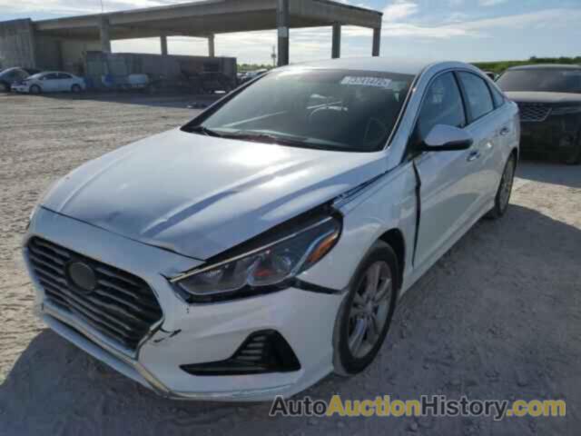 HYUNDAI SONATA SPORT, 5NPE34AF8JH631543