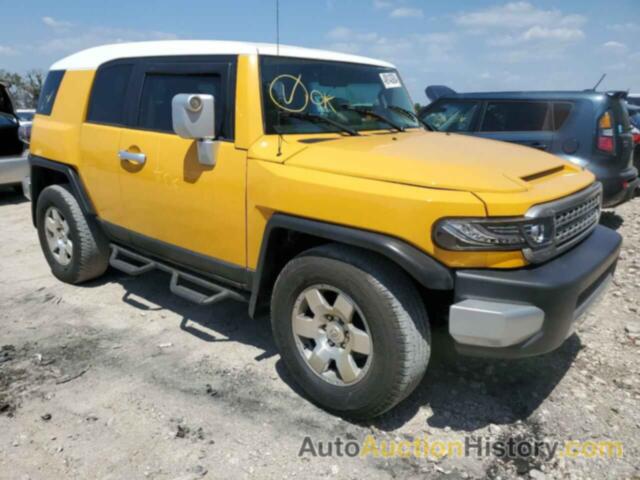 TOYOTA FJ CRUISER, JTEZU11F470004420