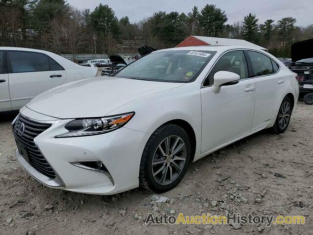 LEXUS ES300 300H, JTHBW1GG6G2114601