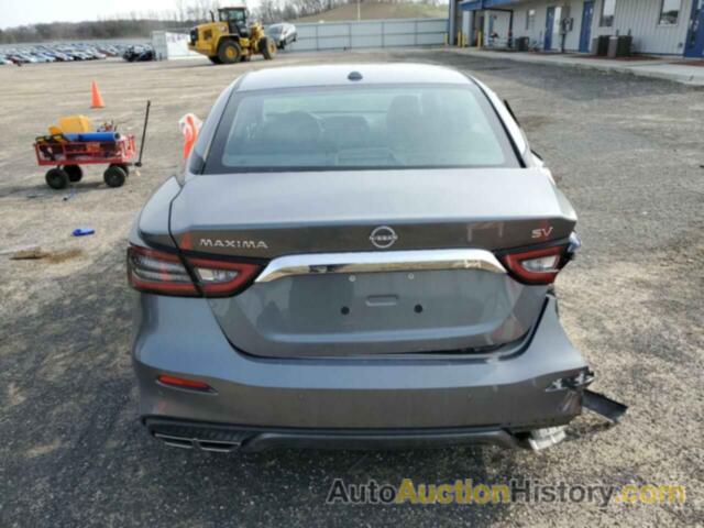 NISSAN MAXIMA SV, 1N4AA6CV0PC511329