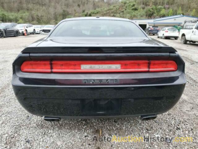 DODGE CHALLENGER SXT, 2C3CDYAG1DH520080