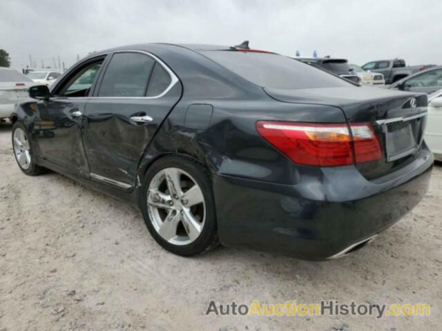 LEXUS LS460 460, JTHBL5EF3B5105744