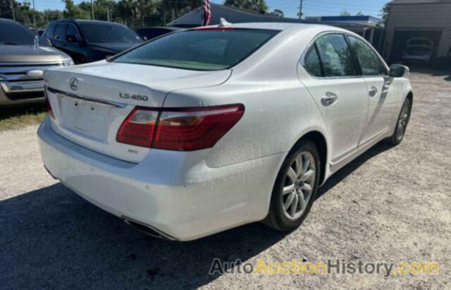 LEXUS LS460 460, JTHCL5EF5A5007141