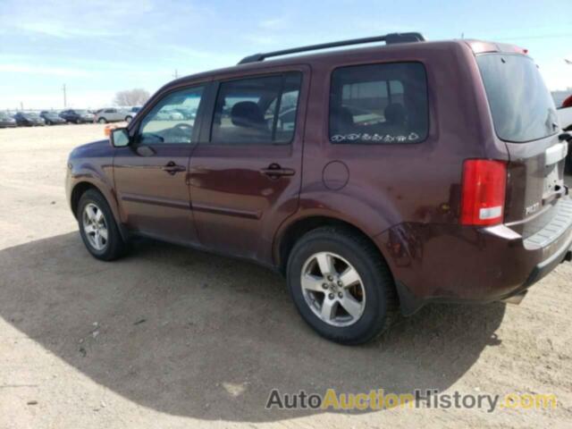 HONDA PILOT EXL, 5FNYF4H55BB080134