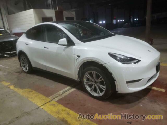 TESLA MODEL Y, 7SAYGDEE5PF685962