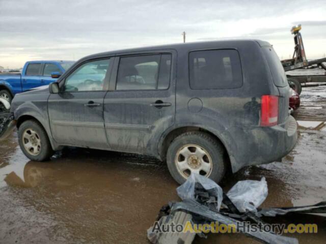 HONDA PILOT LX, 5FNYF4H29DB505461