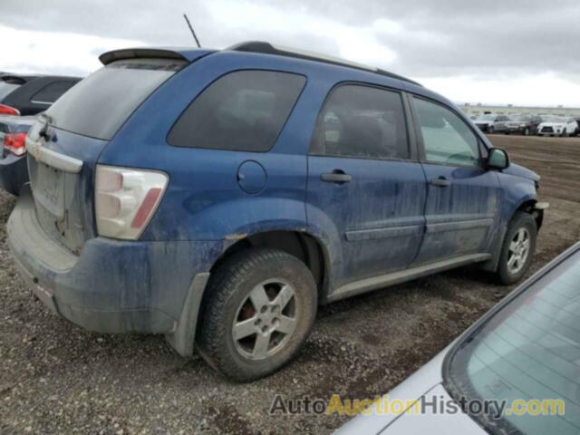 CHEVROLET EQUINOX LS, 2CNDL23F996213873