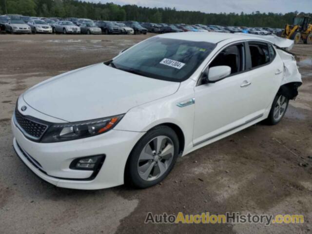 KIA OPTIMA HYBRID, KNAGN4AD6F5090160