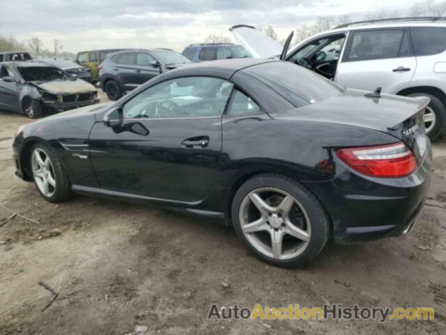 MERCEDES-BENZ SLK-CLASS 250, WDDPK4HA3EF084368