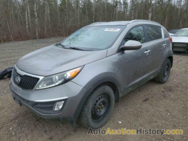 KIA SPORTAGE EX, KNDPCCACXE7625018