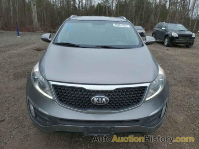 KIA SPORTAGE EX, KNDPCCACXE7625018