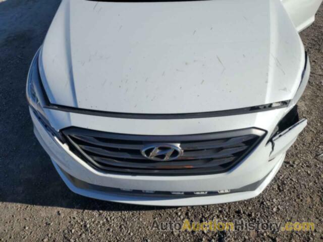 HYUNDAI SONATA SPORT, 5NPE34AF4GH392159