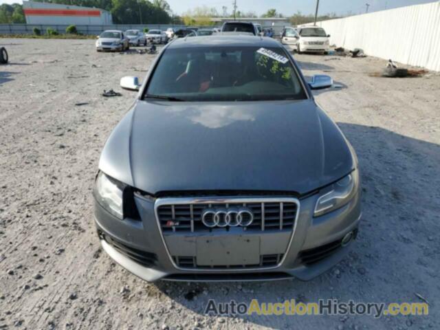 AUDI S4/RS4 PREMIUM PLUS, WAUBGAFL6CA050800