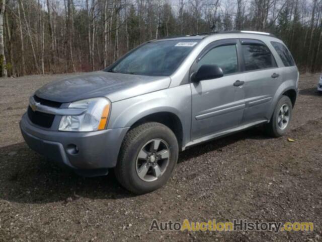 CHEVROLET EQUINOX LS, 2CNDL23F456002462