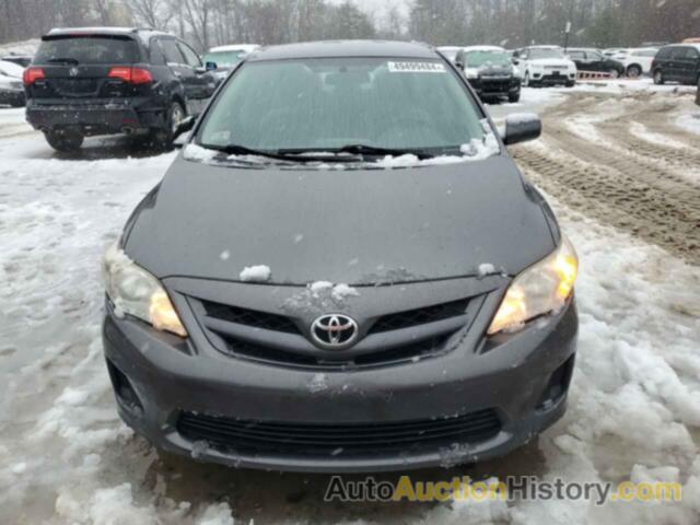 TOYOTA COROLLA BASE, 2T1BU4EE8BC542979