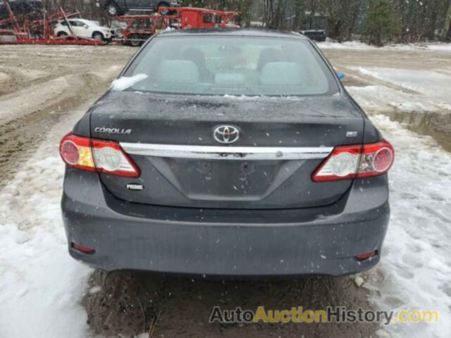 TOYOTA COROLLA BASE, 2T1BU4EE8BC542979