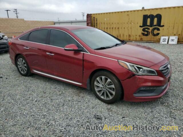 HYUNDAI SONATA SPORT, 5NPE34AF3GH393027