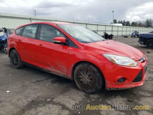 FORD FOCUS SE, 1FADP3K21DL238477