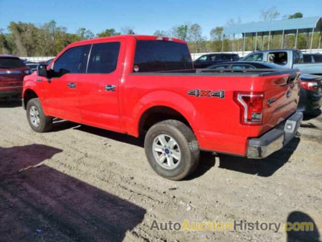 FORD F-150 SUPERCREW, 1FTEW1EP8GFA55612