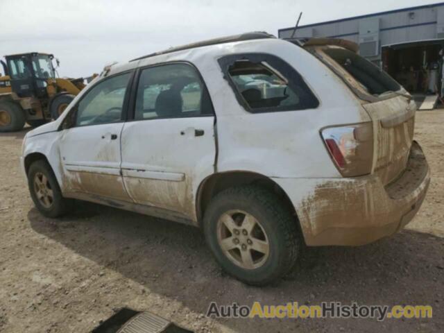 CHEVROLET EQUINOX LS, 2CNDL23F396235934