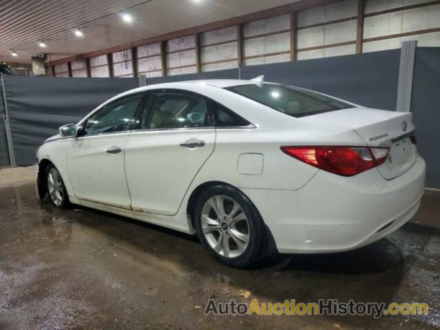 HYUNDAI SONATA SE, 5NPEC4AC8DH681238