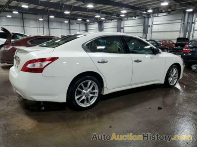 NISSAN MAXIMA S, 1N4AA5AP2AC824159