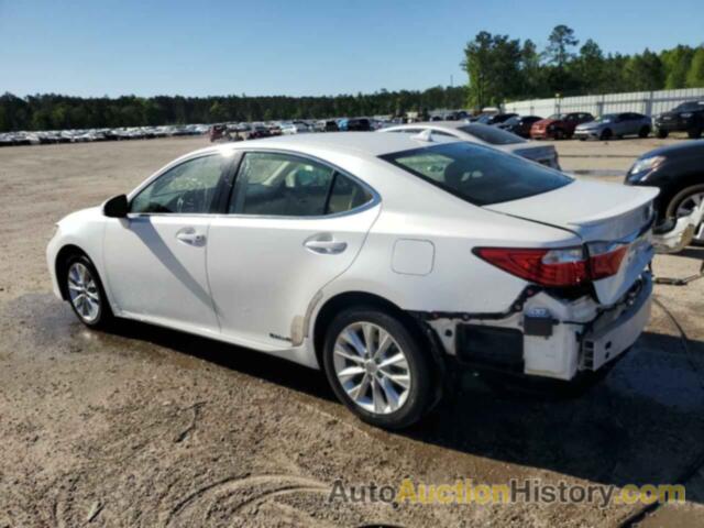 LEXUS ES300 300H, JTHBW1GG4D2033771