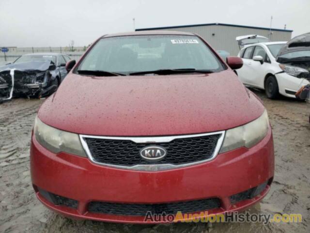 KIA FORTE EX, KNAFU4A20C5534867