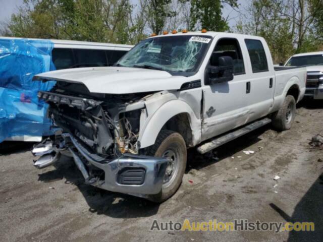 FORD F350 SUPER DUTY, 1FT8W3BT1GEA11256