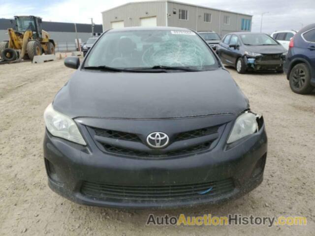 TOYOTA COROLLA BASE, 2T1BU4EE9DC034720