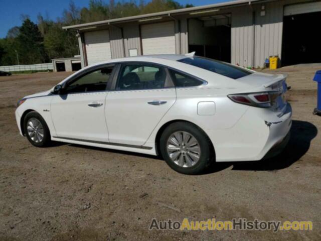 HYUNDAI SONATA HYBRID, KMHE24L13HA059136