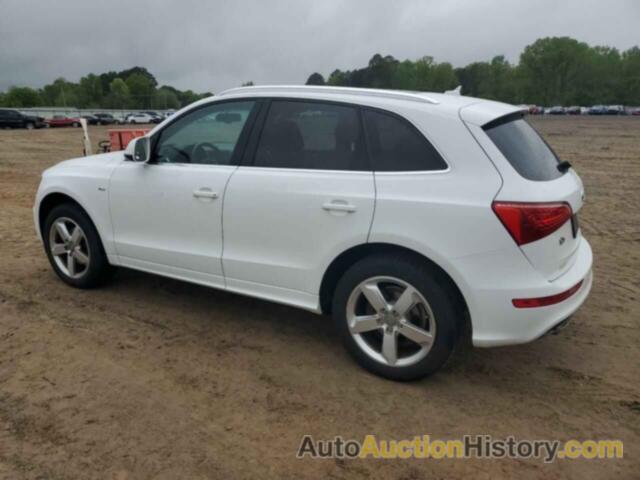 AUDI Q5 PREMIUM PLUS, WA1DKAFP0BA115971