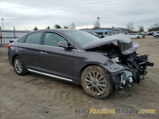 HYUNDAI SONATA SPORT, 5NPE34AF6FH255822