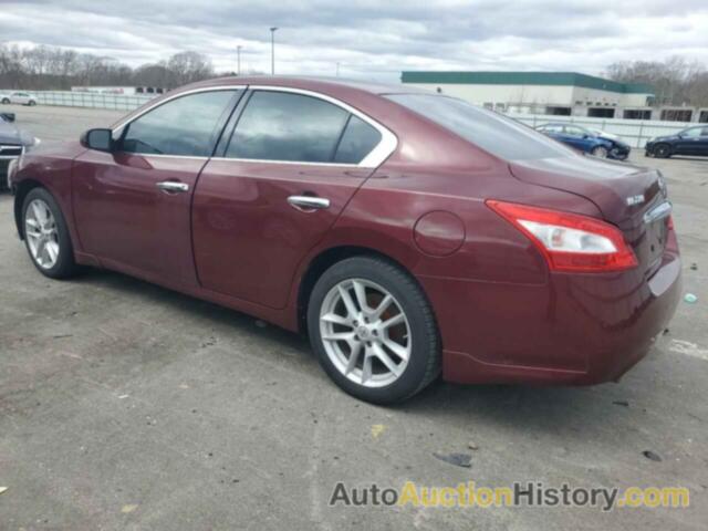 NISSAN MAXIMA S, 1N4AA5AP7BC816012