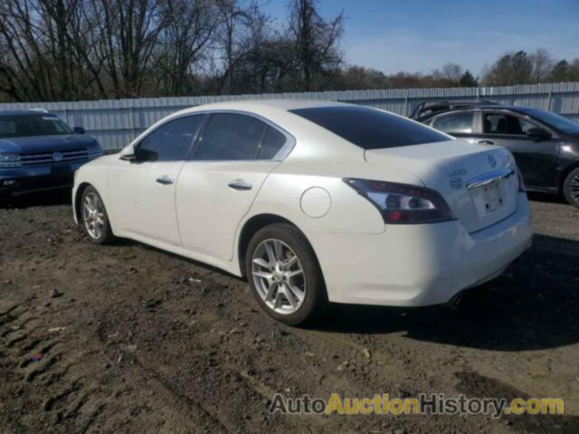 NISSAN MAXIMA S, 1N4AA5AP4DC830615