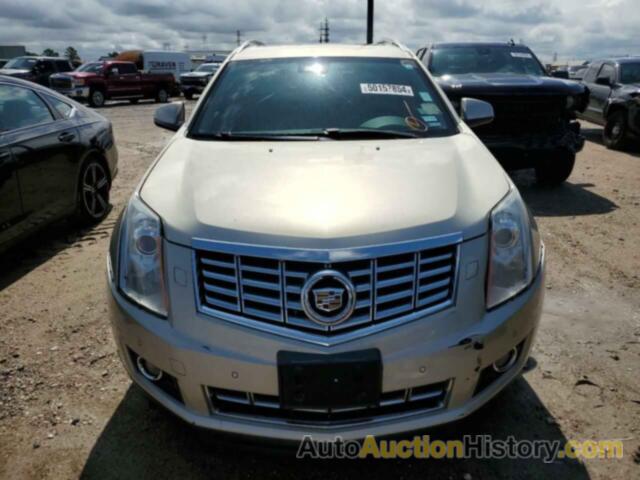 CADILLAC SRX PREMIUM COLLECTION, 3GYFNDE31ES651248