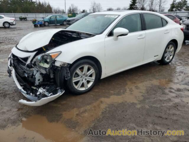 LEXUS ES300 300H, JTHBW1GG0E2068857