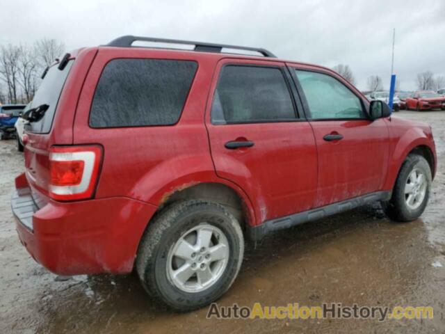 FORD ESCAPE XLT, 1FMCU9D70BKA97409