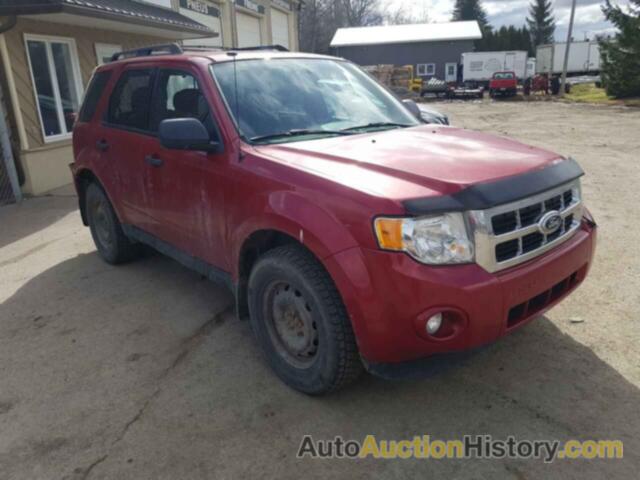 FORD ESCAPE XLT, 1FMCU9D78BKA10498