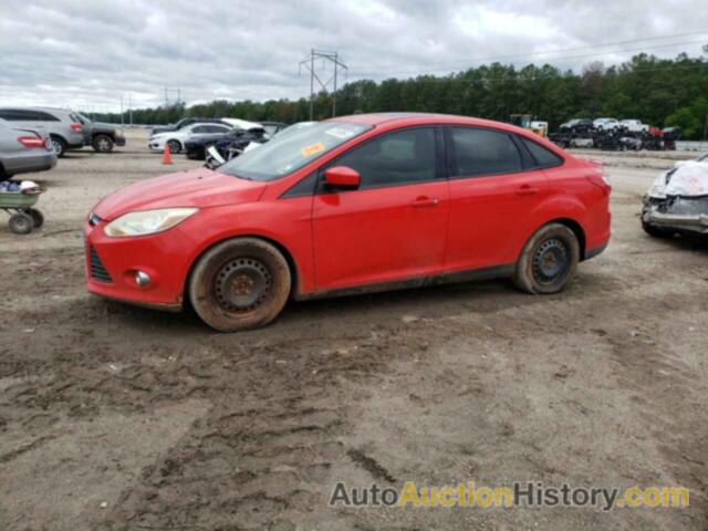 FORD FOCUS SE, 1FAHP3F28CL150875