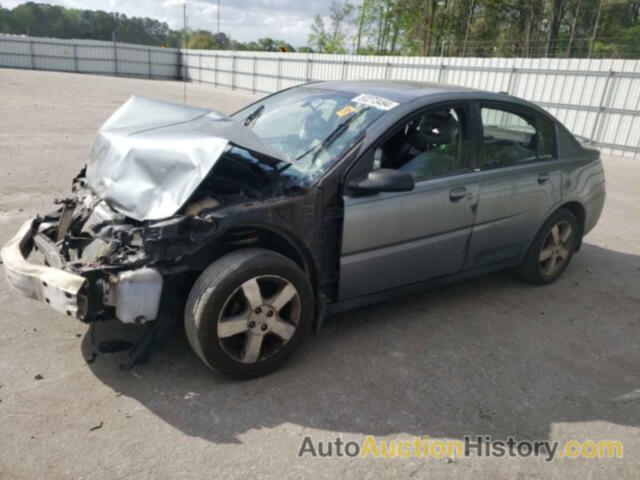 SATURN ION LEVEL 3, 1G8AL55B06Z173471