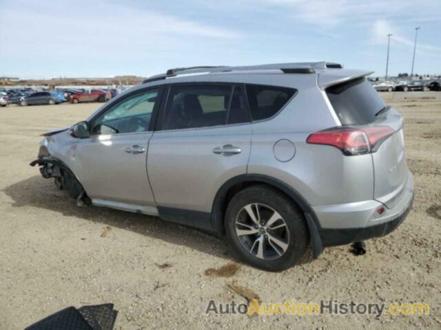 TOYOTA RAV4 LE, 2T3BFREV6JW808690