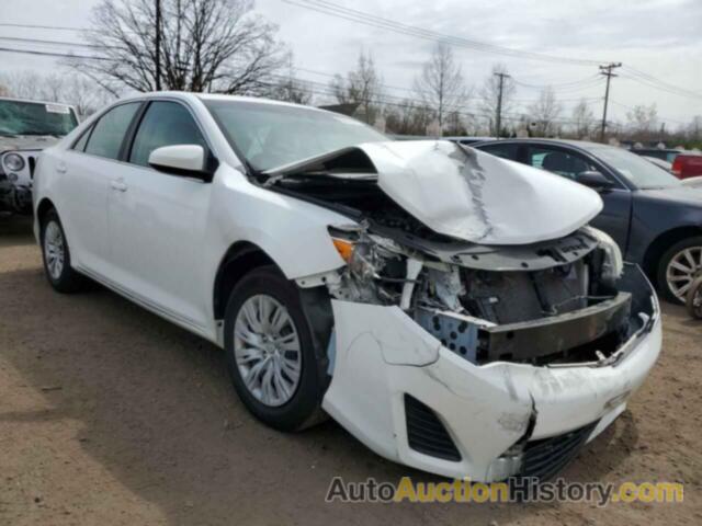 TOYOTA CAMRY L, 4T4BF1FK2DR300189