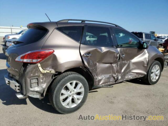 NISSAN MURANO S, JN8AZ1MW7DW302858