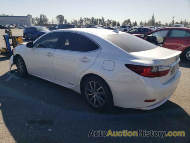 LEXUS ES300 300H, JTHBW1GGXG2119655